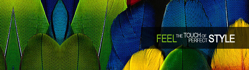 Feel The Touch Of Perfect Style